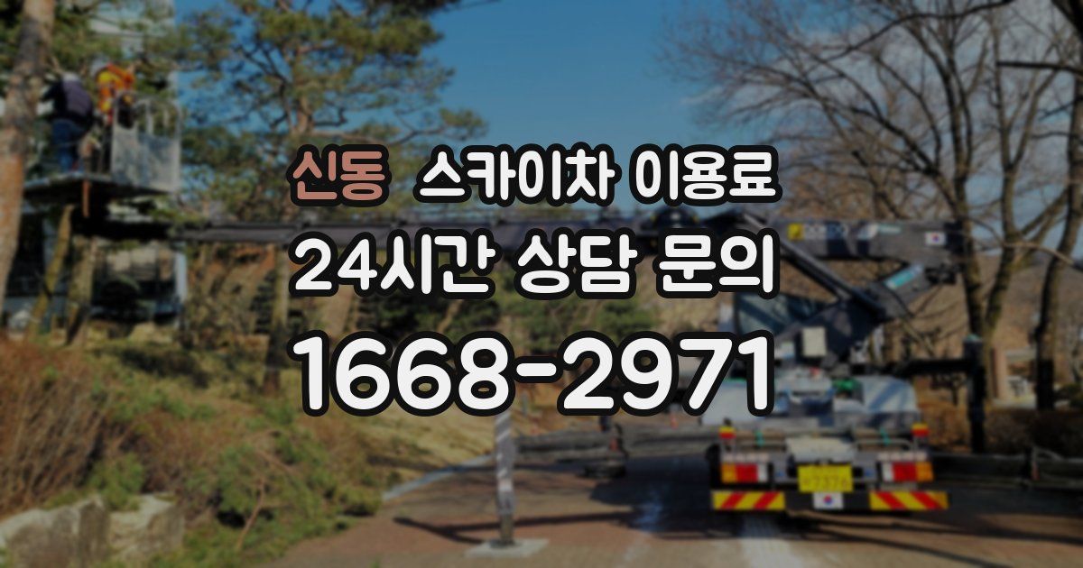 신동 스카이차 이용료
