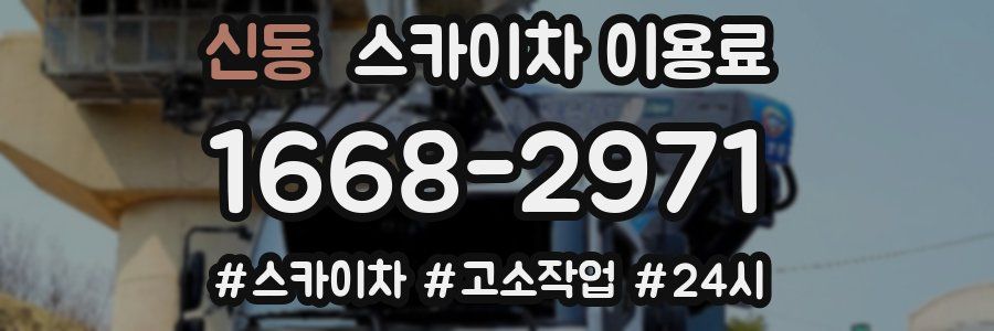 신동 스카이차 이용료