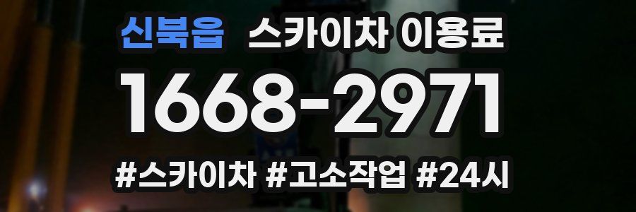 신북읍 스카이차 이용료