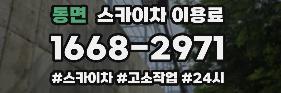 동면 스카이차 이용료