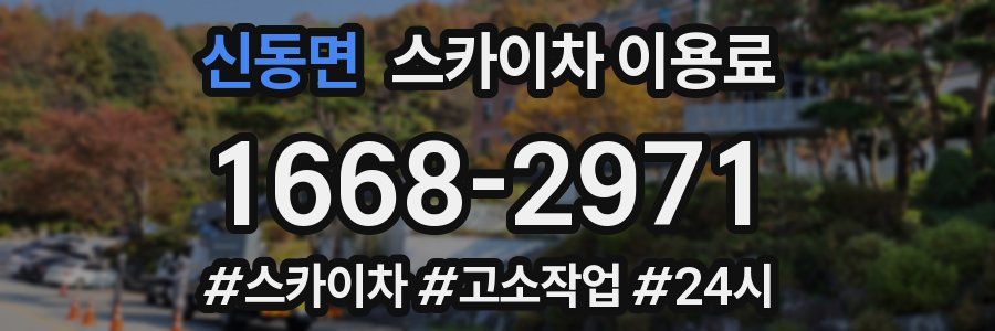신동면 스카이차 이용료