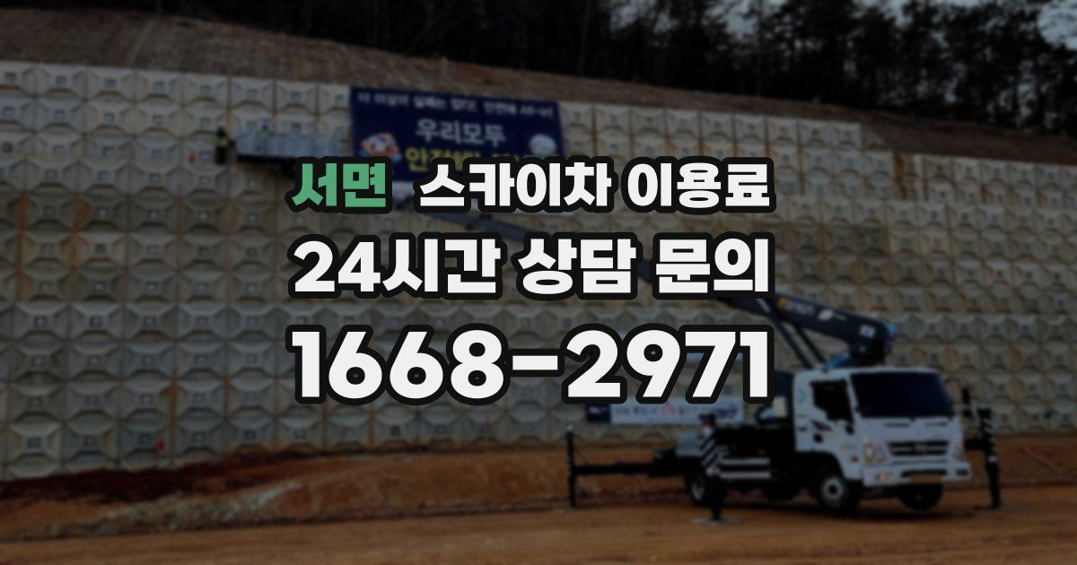 서면 스카이차 이용료