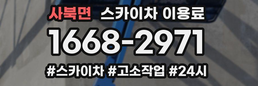 사북면 스카이차 이용료