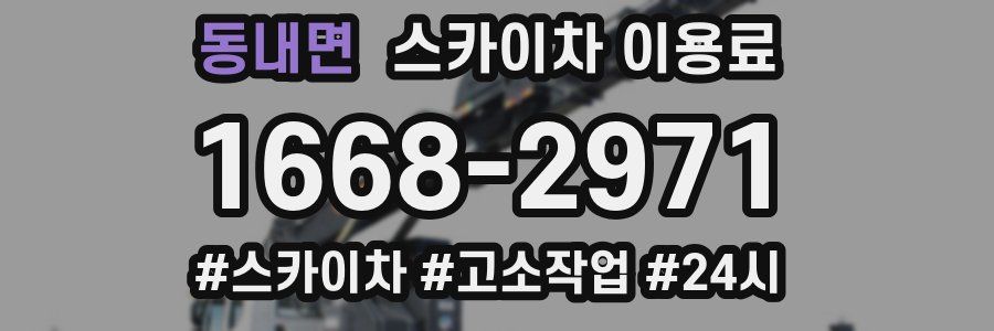 동내면 스카이차 이용료