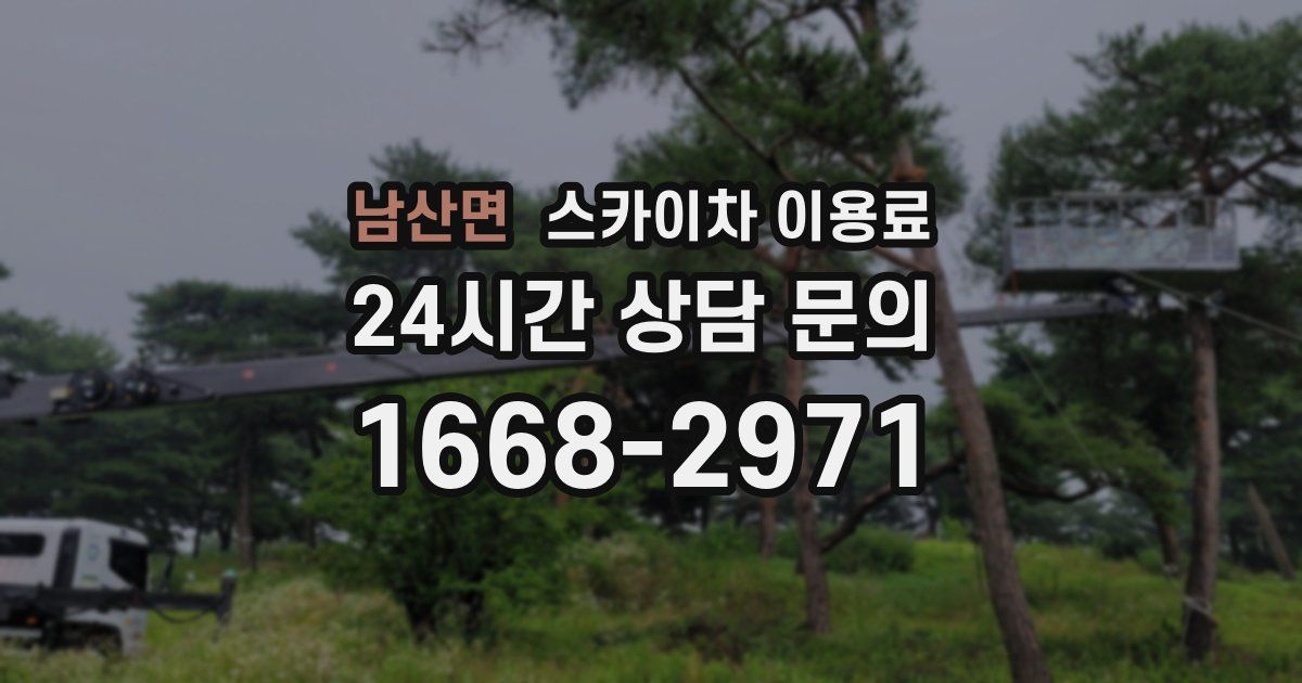 남산면 스카이차 이용료