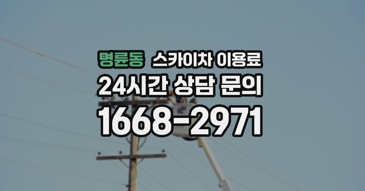 명륜동 스카이차 이용료