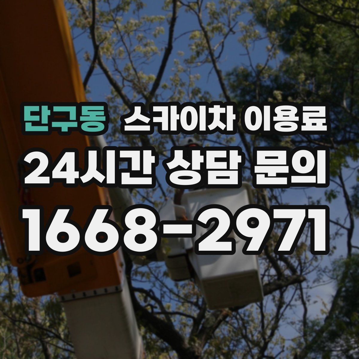 단구동 스카이차 이용료