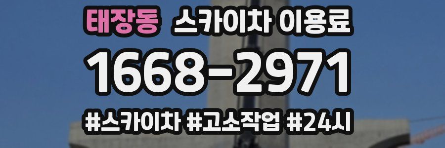 태장동 스카이차 이용료
