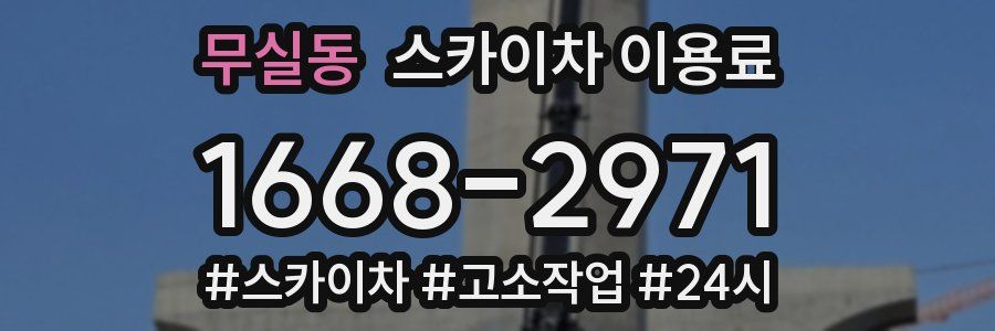 무실동 스카이차 이용료