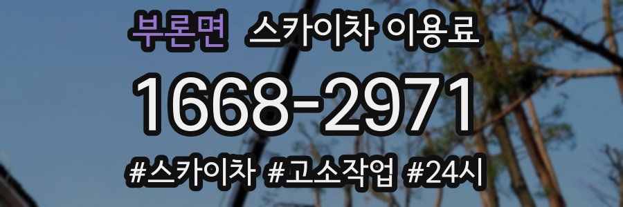 부론면 스카이차 이용료