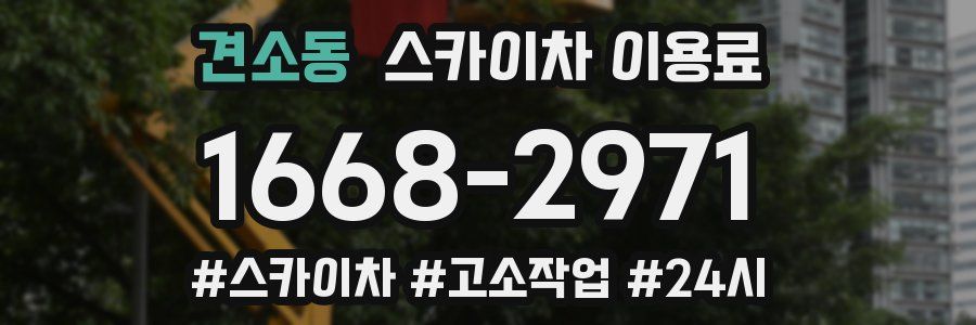 견소동 스카이차 이용료