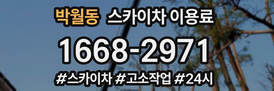 박월동 스카이차 이용료