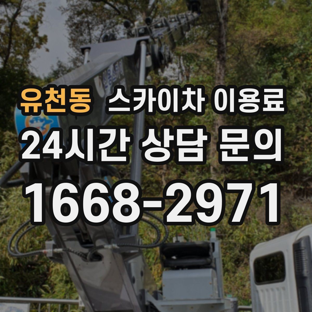 유천동 스카이차 이용료 문의가 많을 때 자주 나오는 질문
