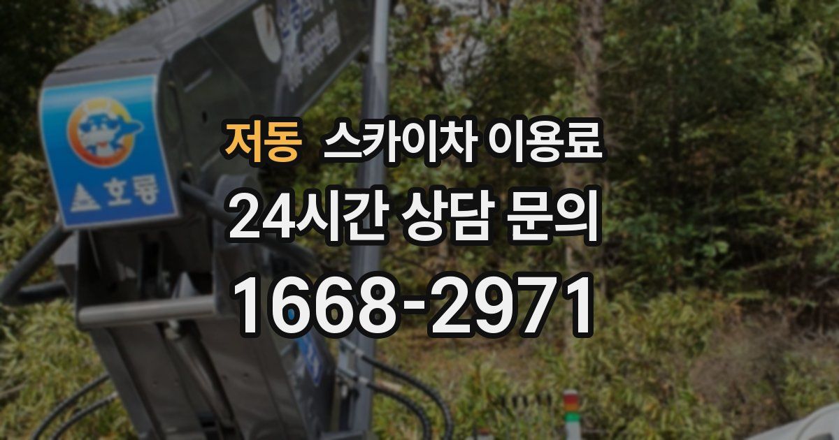 저동 스카이차 이용료