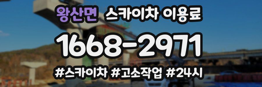 왕산면 스카이차 이용료