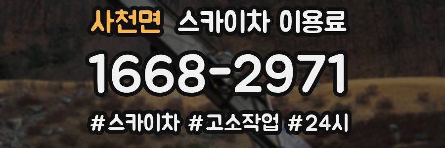 사천면 스카이차 이용료
