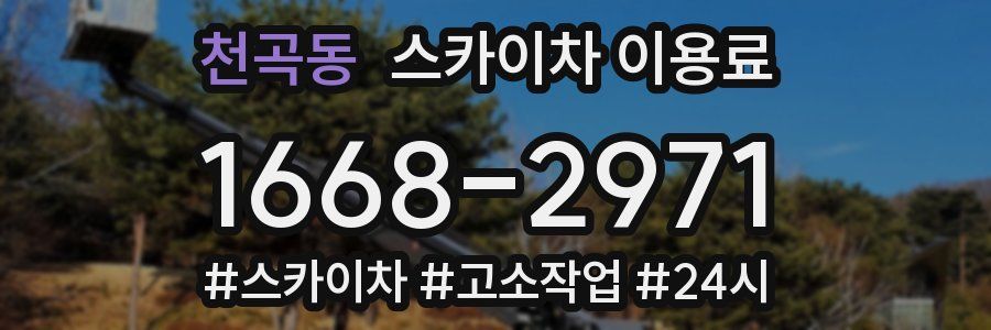 천곡동 스카이차 이용료
