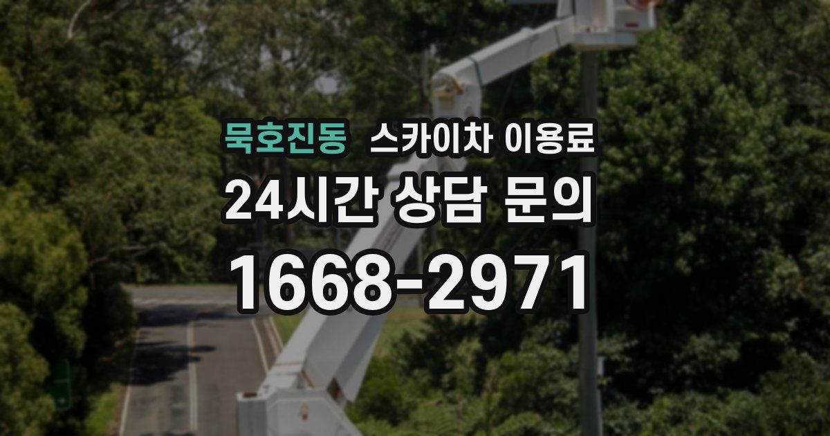 묵호진동 스카이차 이용료