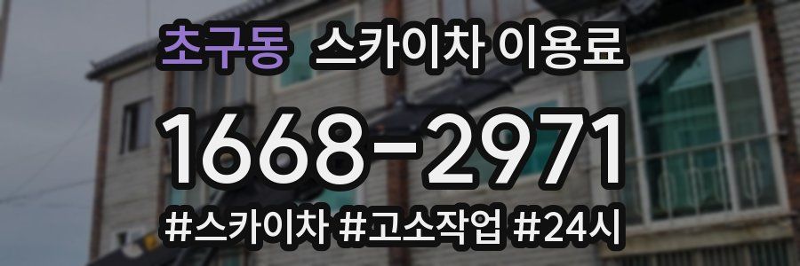 초구동 스카이차 이용료