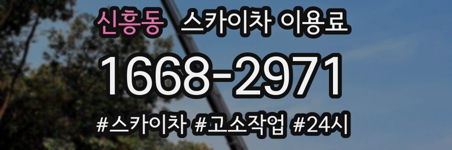 신흥동 스카이차 이용료