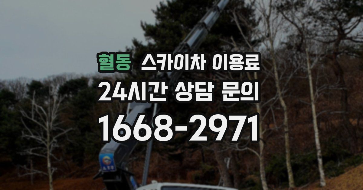 혈동 스카이차 이용료