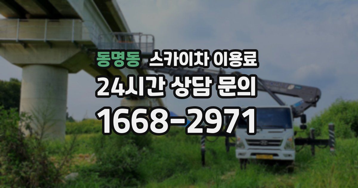 동명동 스카이차 이용료