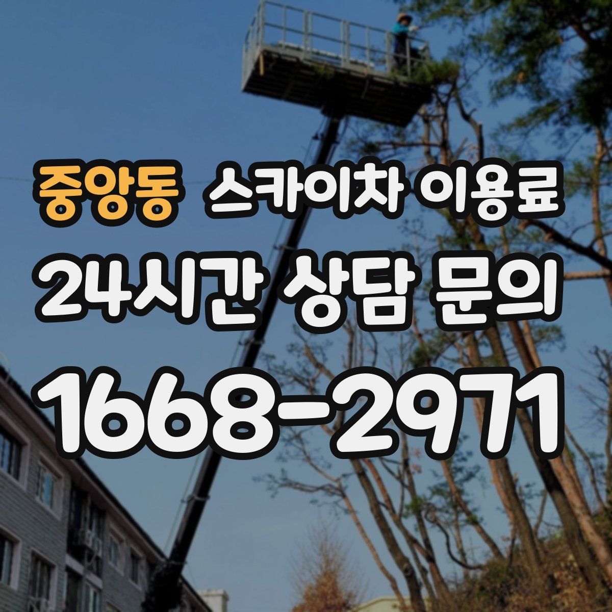 중앙동 스카이차 이용료