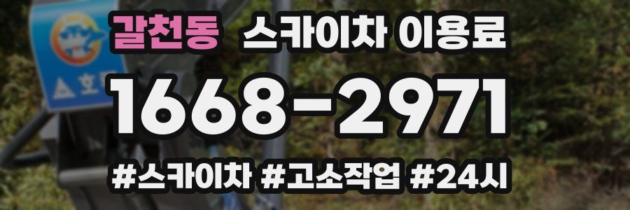 갈천동 스카이차 이용료