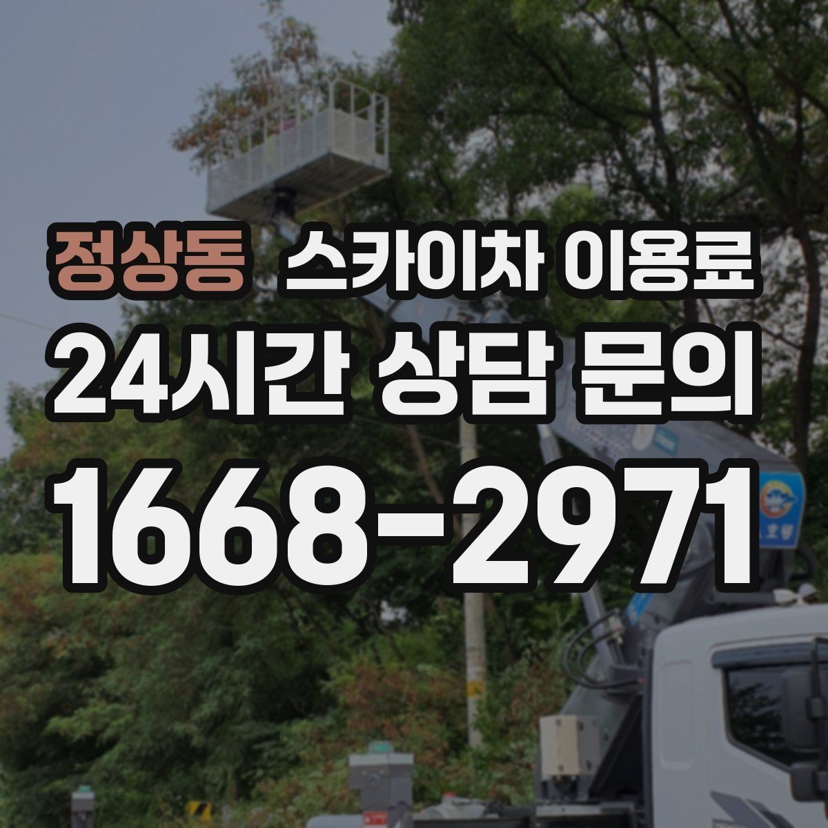 정상동 스카이차 이용료 예약 전 고려해야 할 일정