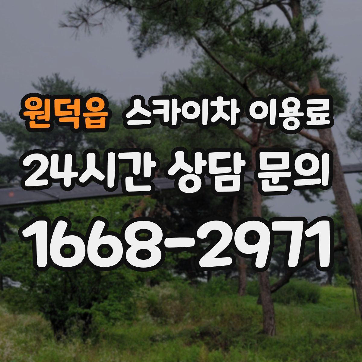 원덕읍 스카이차 이용료