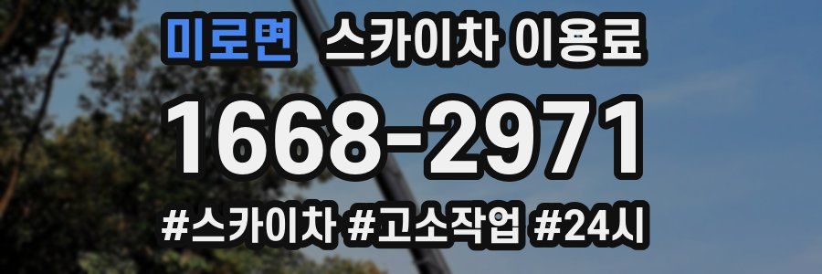 미로면 스카이차 이용료