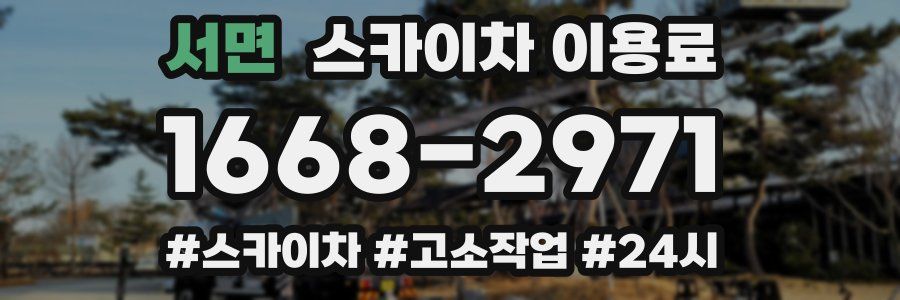 서면 스카이차 이용료
