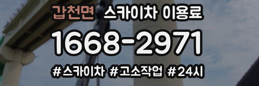 갑천면 스카이차 이용료