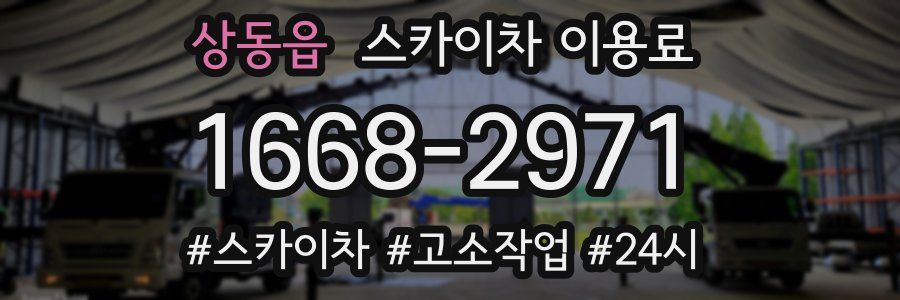 상동읍 스카이차 이용료
