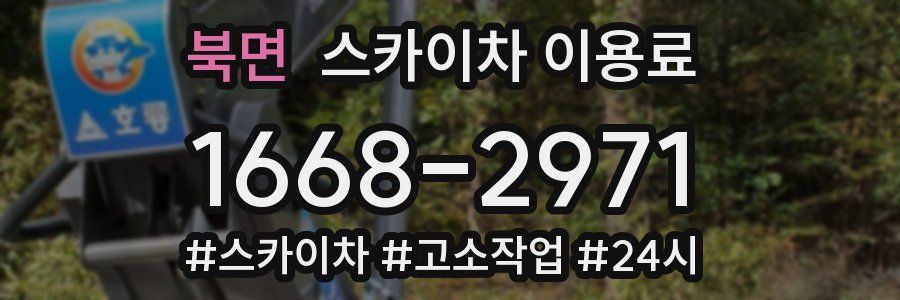 북면 스카이차 이용료