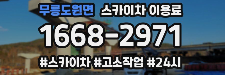 무릉도원면 스카이차 이용료