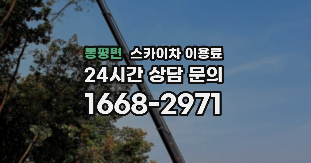봉평면 스카이차 이용료
