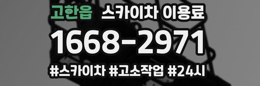 고한읍 스카이차 이용료