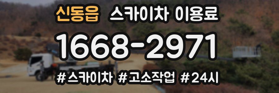 신동읍 스카이차 이용료