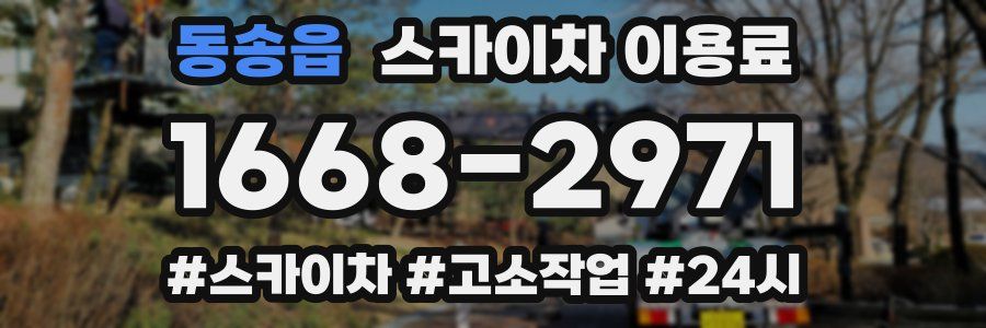 동송읍 스카이차 이용료