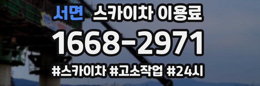 서면 스카이차 이용료