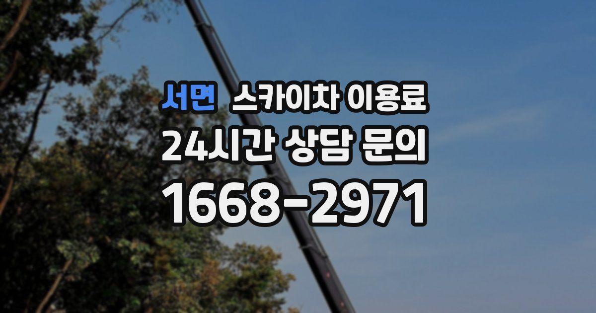 서면 스카이차 이용료