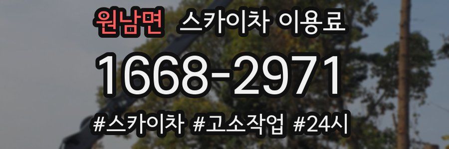 원남면 스카이차 이용료