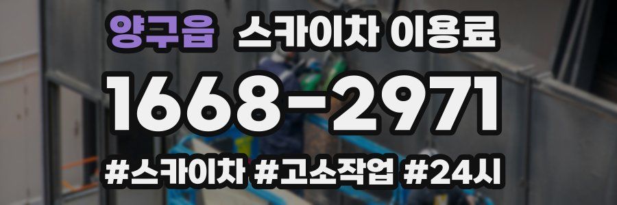 양구읍 스카이차 이용료