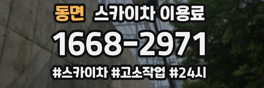 동면 스카이차 이용료