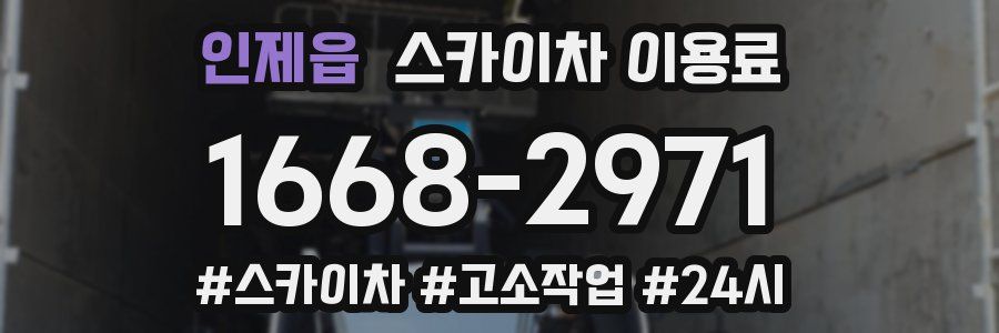 인제읍 스카이차 이용료