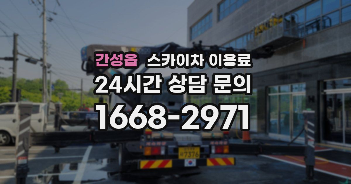간성읍 스카이차 이용료