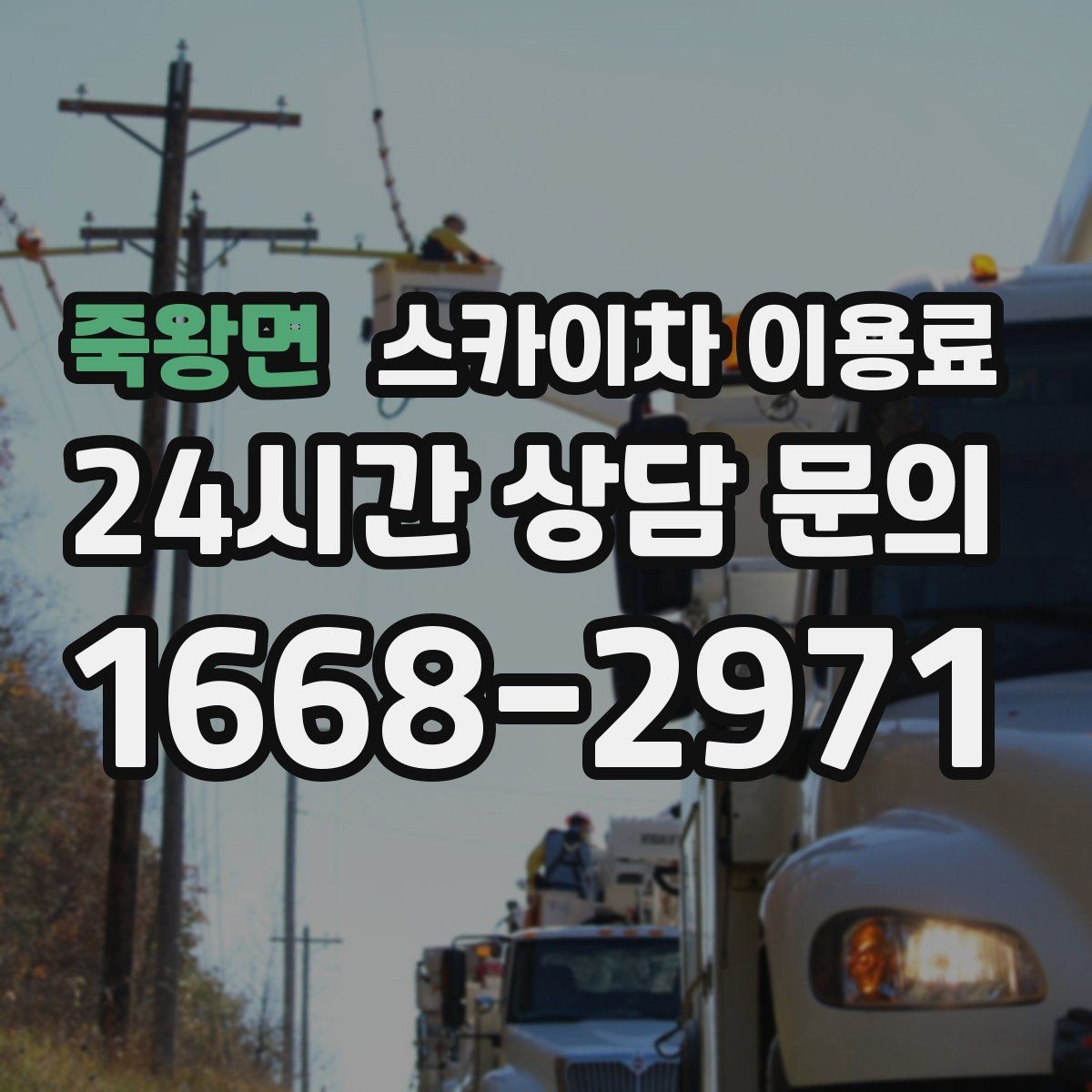 죽왕면 스카이차 이용료 현장마다 차이가 나는 배경