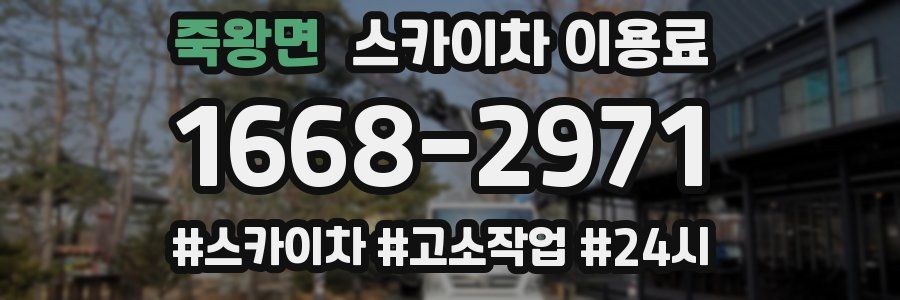 죽왕면 스카이차 이용료