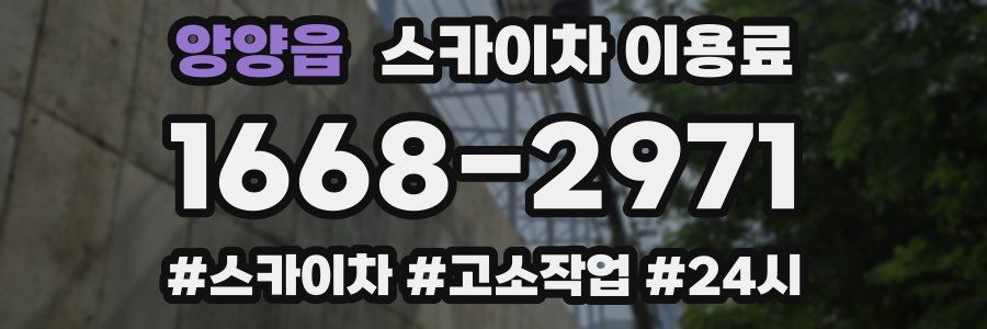 양양읍 스카이차 이용료